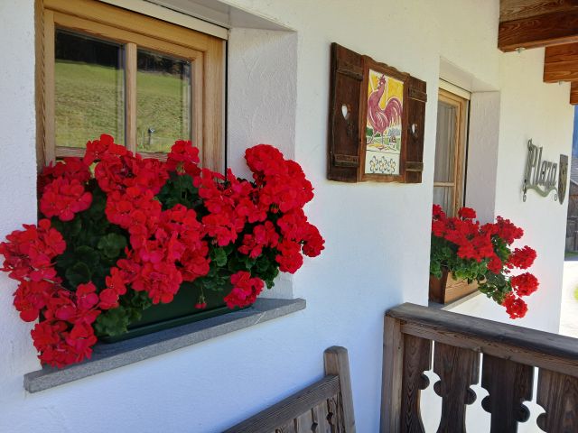 Immagine: Appartamenti Agrturismo Plaza