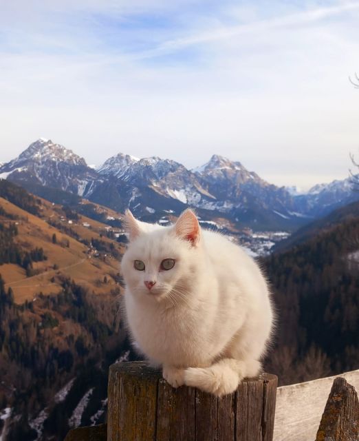 Immagine: Maso in Val Badia a Marebbe nelle Dolomiti