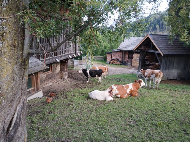Immagine: Maso in Val Badia a Marebbe nelle Dolomiti